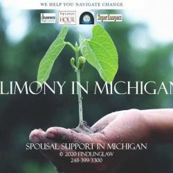 Michigan alimony