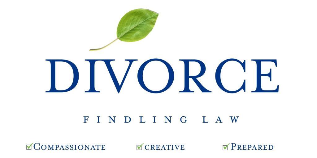 Michigan divorce attorneys
