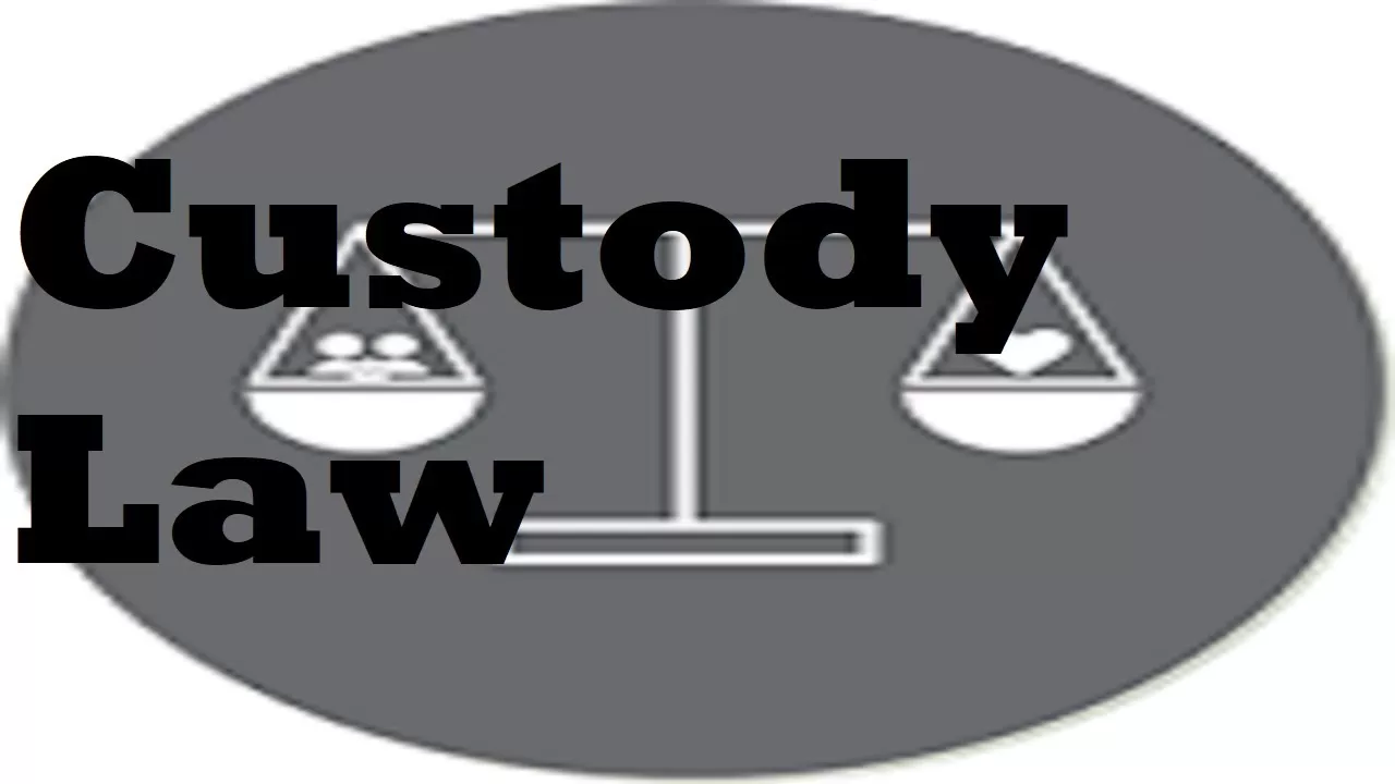 notice of custody determination
