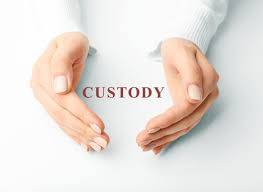 Michigan child custody law - the statutes.