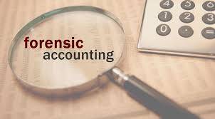 Forensic Accountant