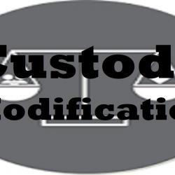 Custody modification