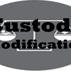 custody modification