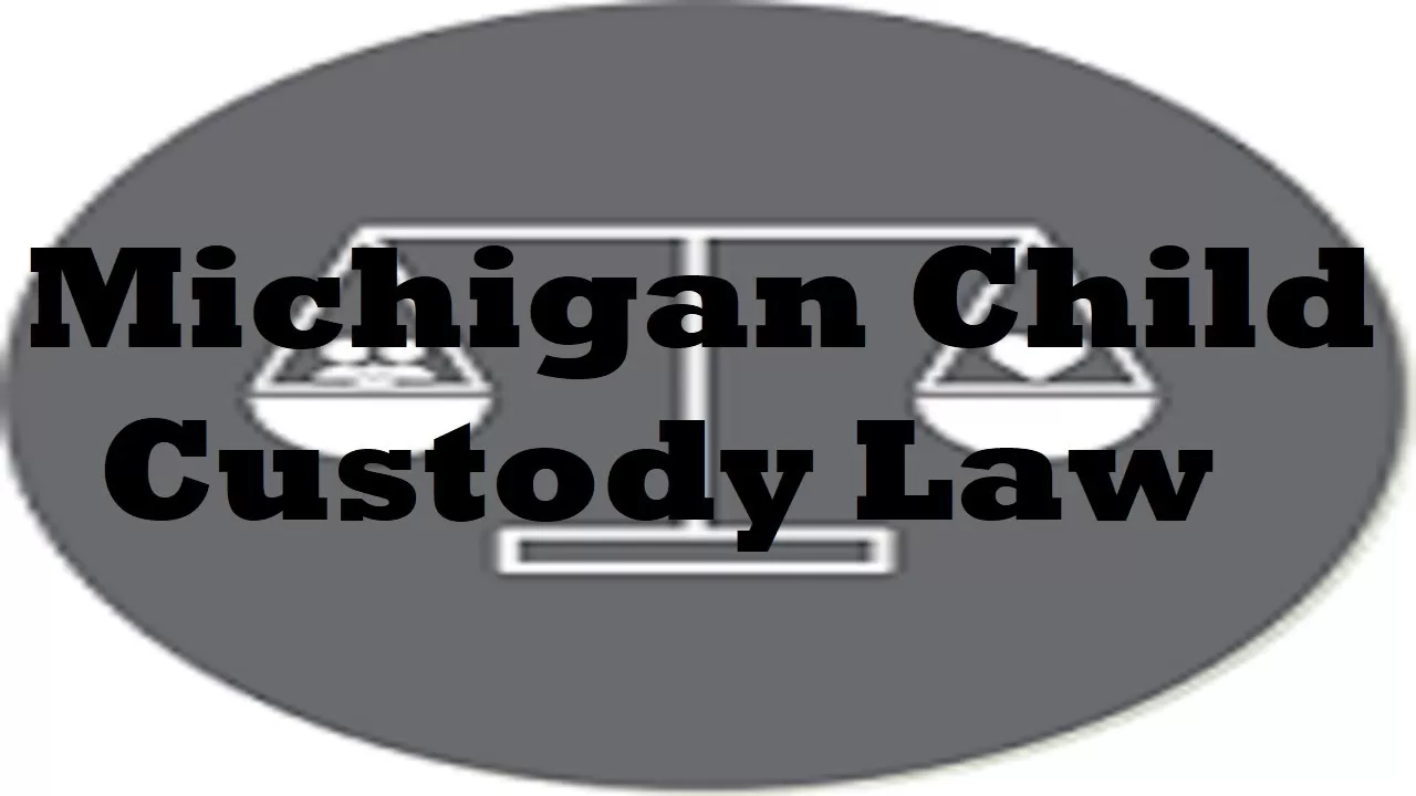 Child Custody Modification reversed video.